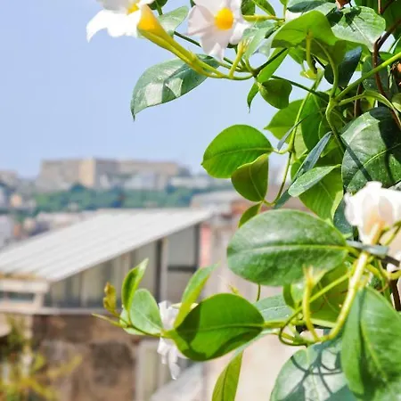 Corsonapoleone 3* Naples
